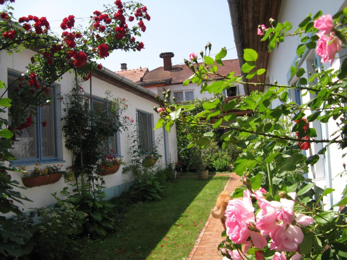 Stieglerhof Kg -Apartments Illmitz- 外观 照片