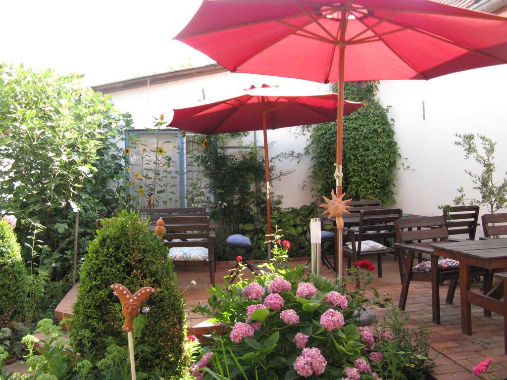 Stieglerhof Kg -Apartments Illmitz- 外观 照片