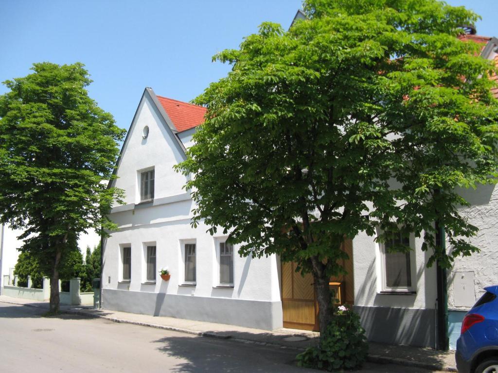 Stieglerhof Kg -Apartments Illmitz- 外观 照片